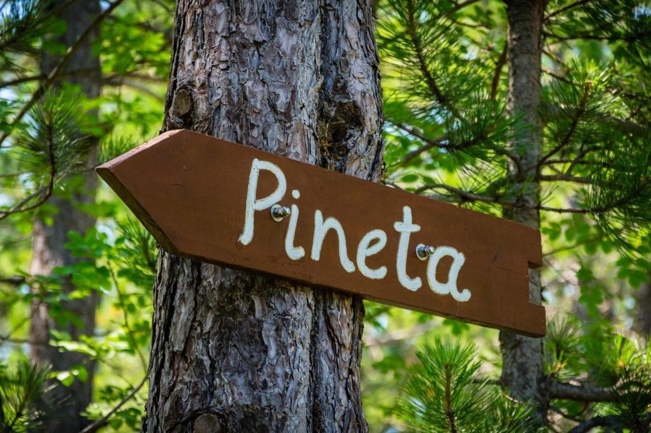 Pineta Βίλα Gračišče Εξωτερικό φωτογραφία