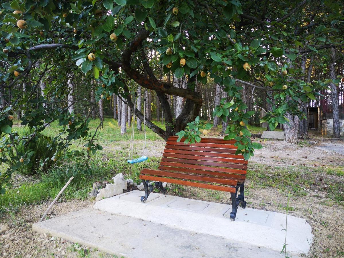 Pineta Βίλα Gračišče Εξωτερικό φωτογραφία
