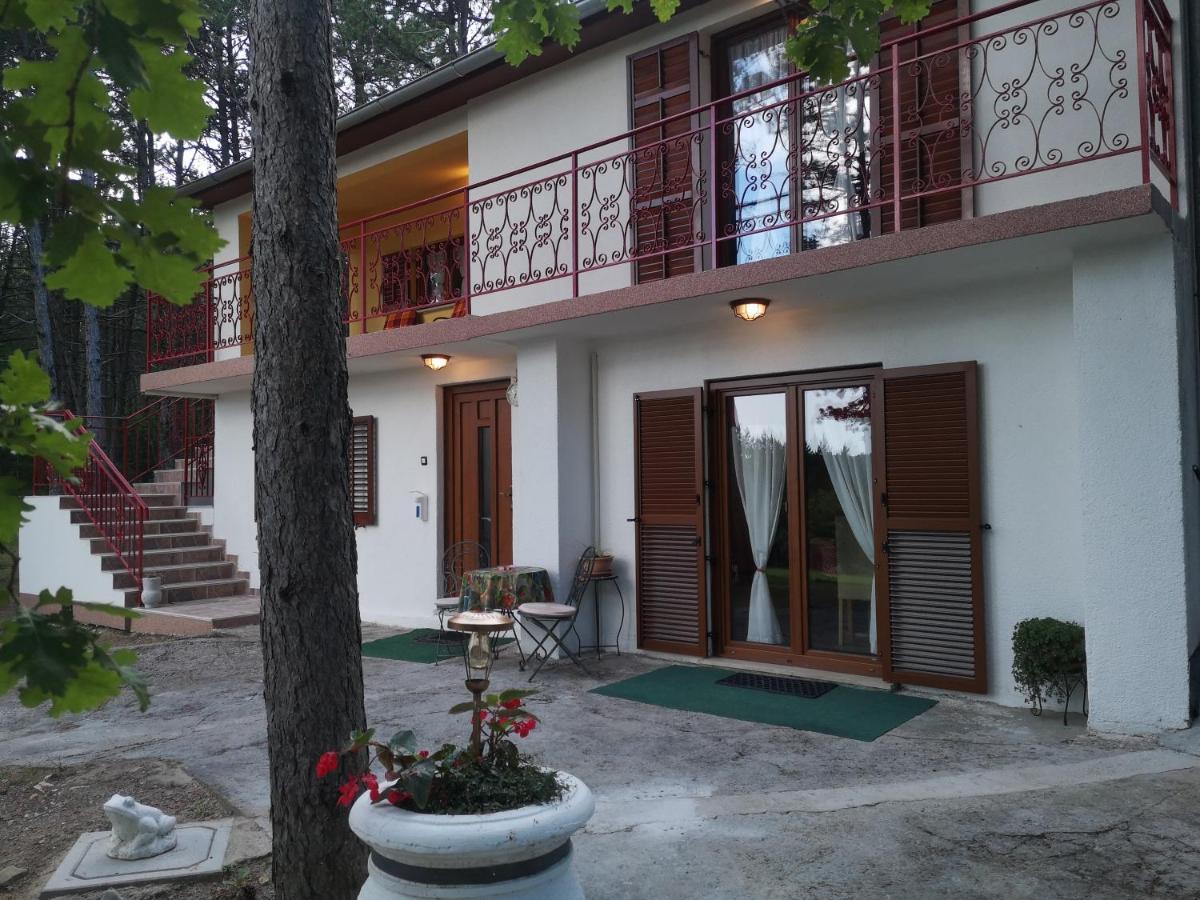 Pineta Βίλα Gračišče Εξωτερικό φωτογραφία