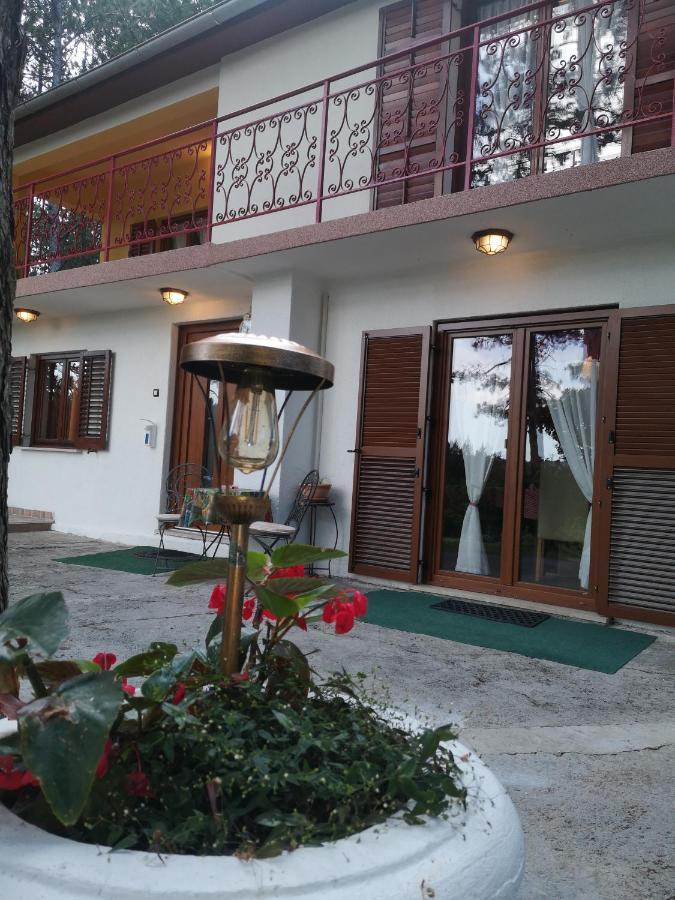 Pineta Βίλα Gračišče Εξωτερικό φωτογραφία