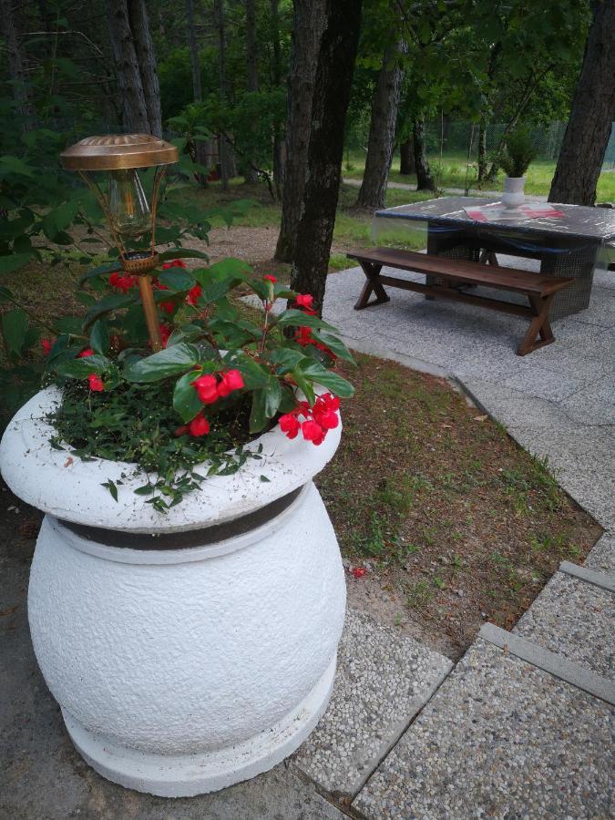Pineta Βίλα Gračišče Εξωτερικό φωτογραφία