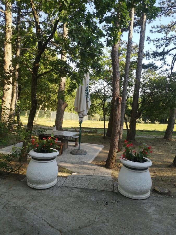 Pineta Βίλα Gračišče Εξωτερικό φωτογραφία